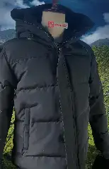 Down Jacket456135