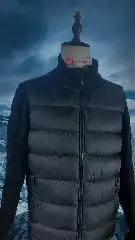 Down Jacket4561564